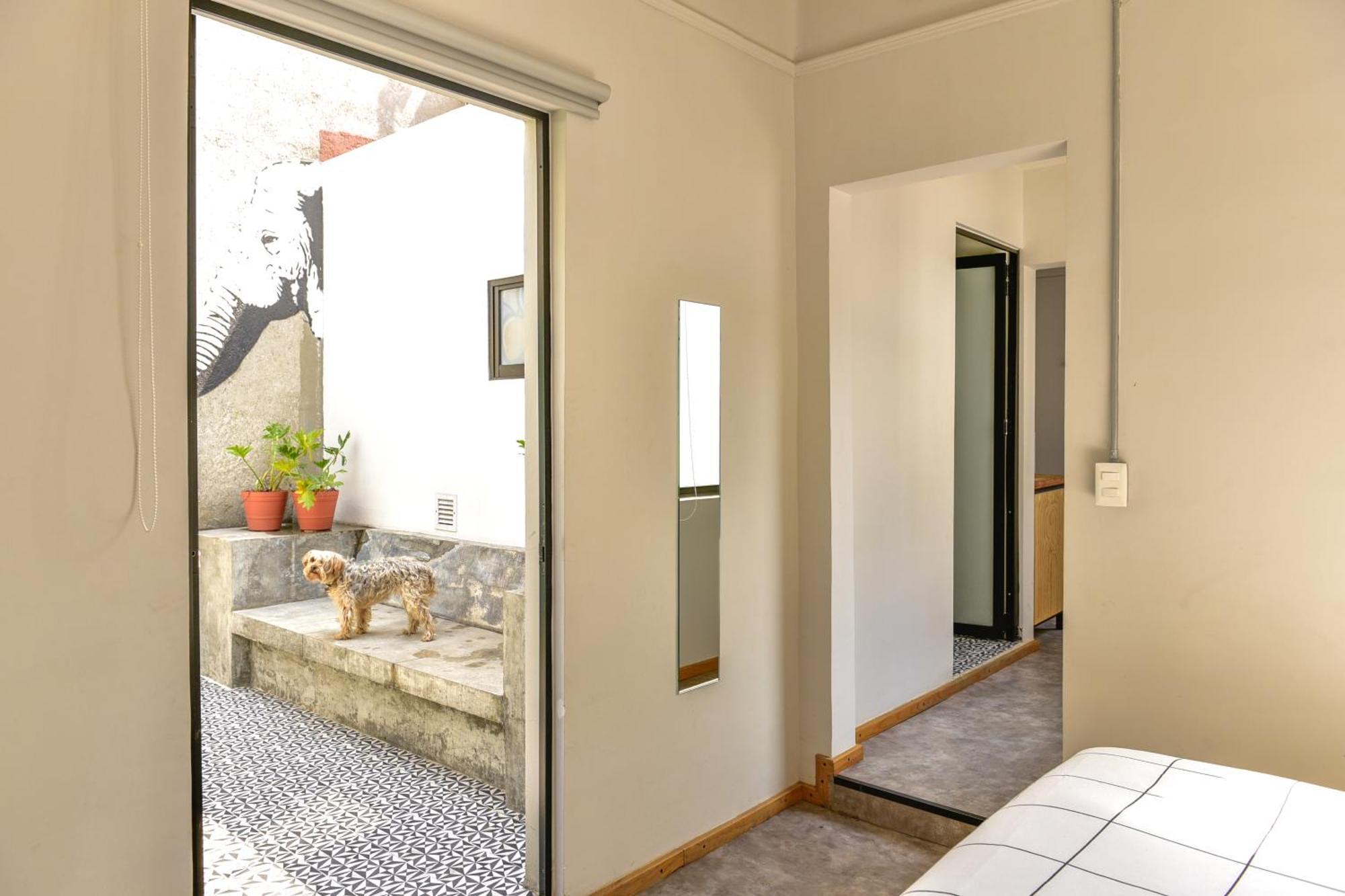 فندق Casa Melgar مدينة مكسيكو المظهر الخارجي الصورة